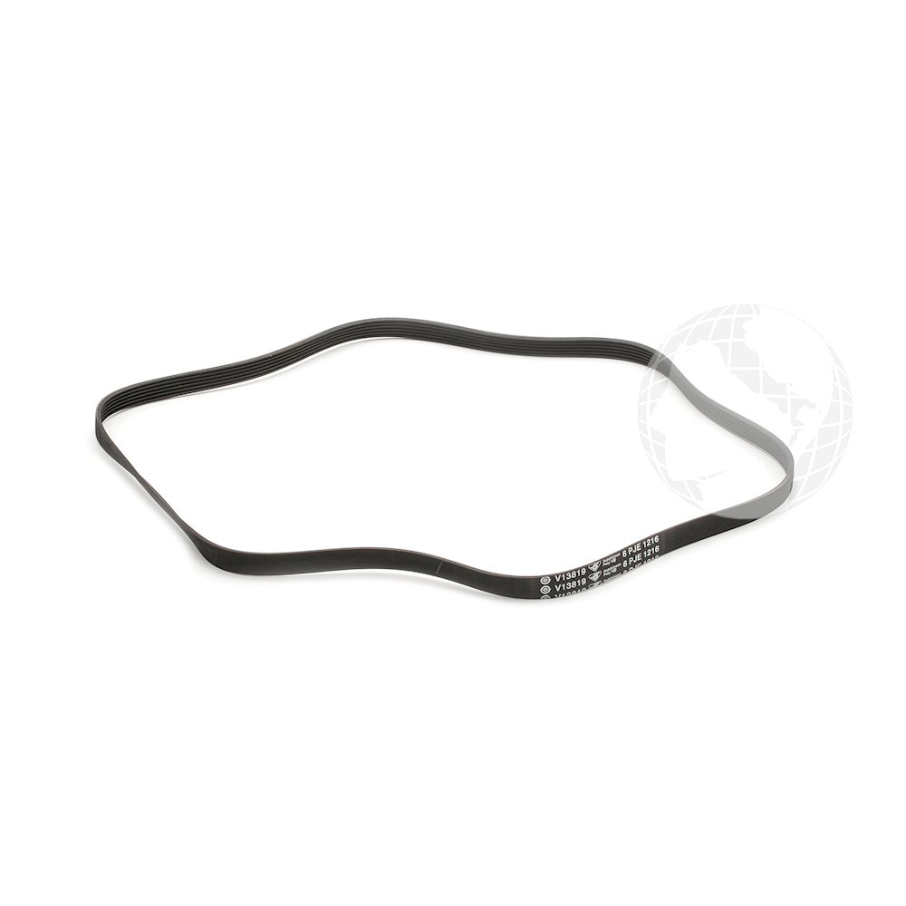 Cinghie 0020300592 Cinghia per elettrodomestico HAIER Originale
