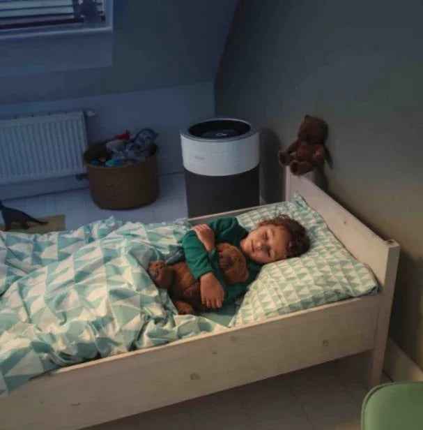 Filtro due in uno CF260 più pre filtro AP260 per purificatore d'aria originale vorwerk 01194