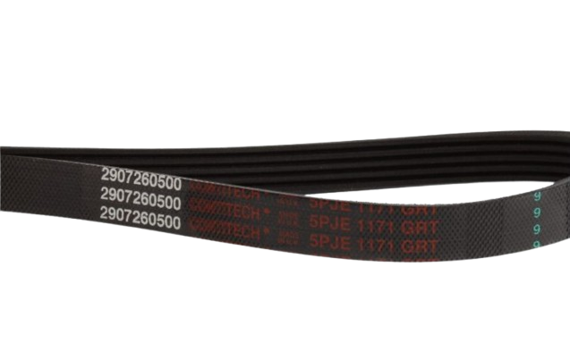 Cinghie: 2907260500 Cinghia (1171 J5 EL) BEKO