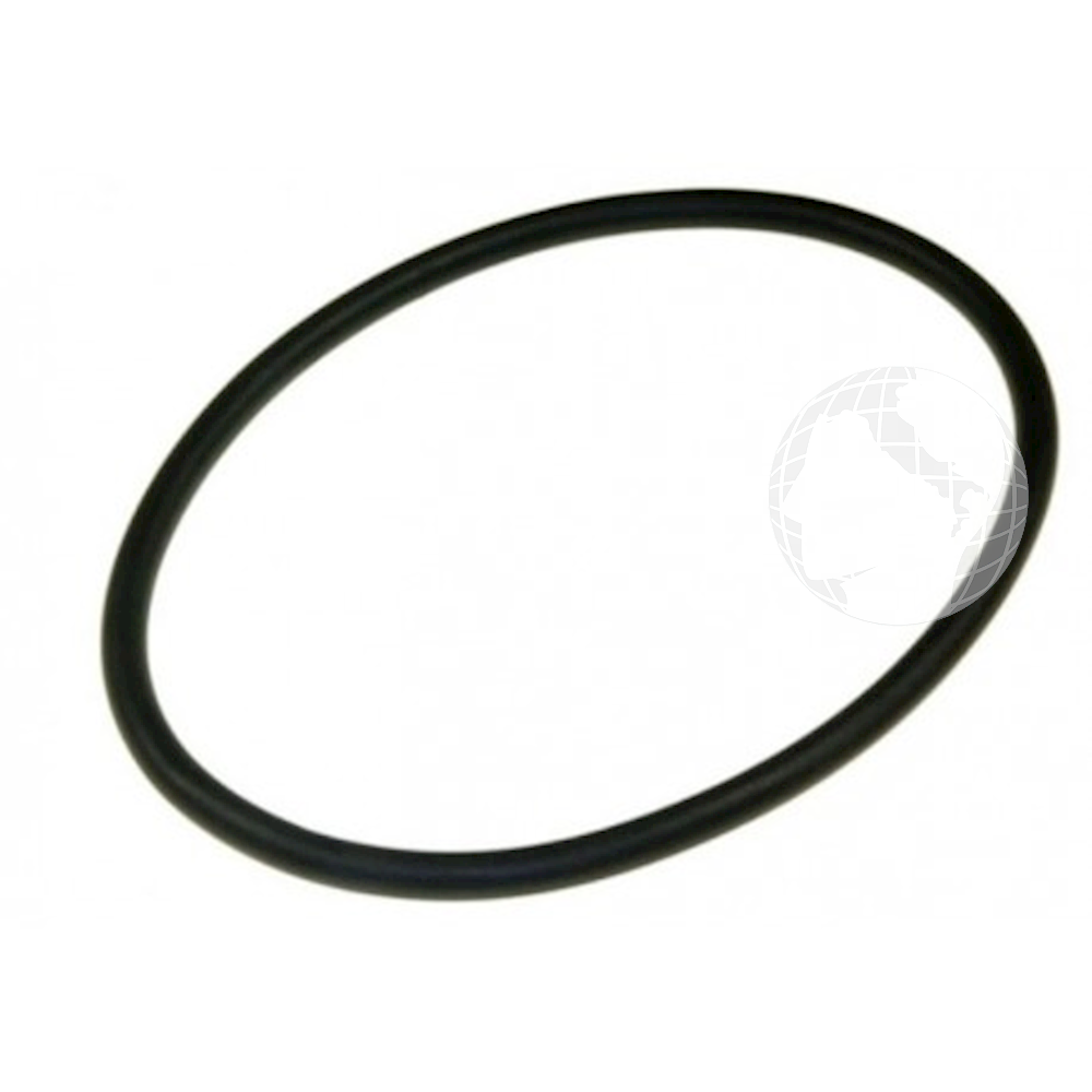 Guarnizioni 1740050300 Guarnizione Pozzetto per elettrodomestico BEKO Originale