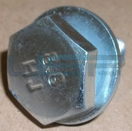 Pulegge 2829960200 Vite Fissaggio Puleggia per elettrodomestico BEKO Originale