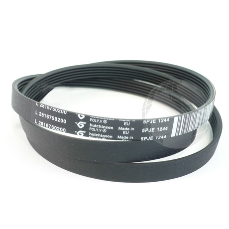 Cinghie: 2845710200 Cinghia (1244 J5) BEKO