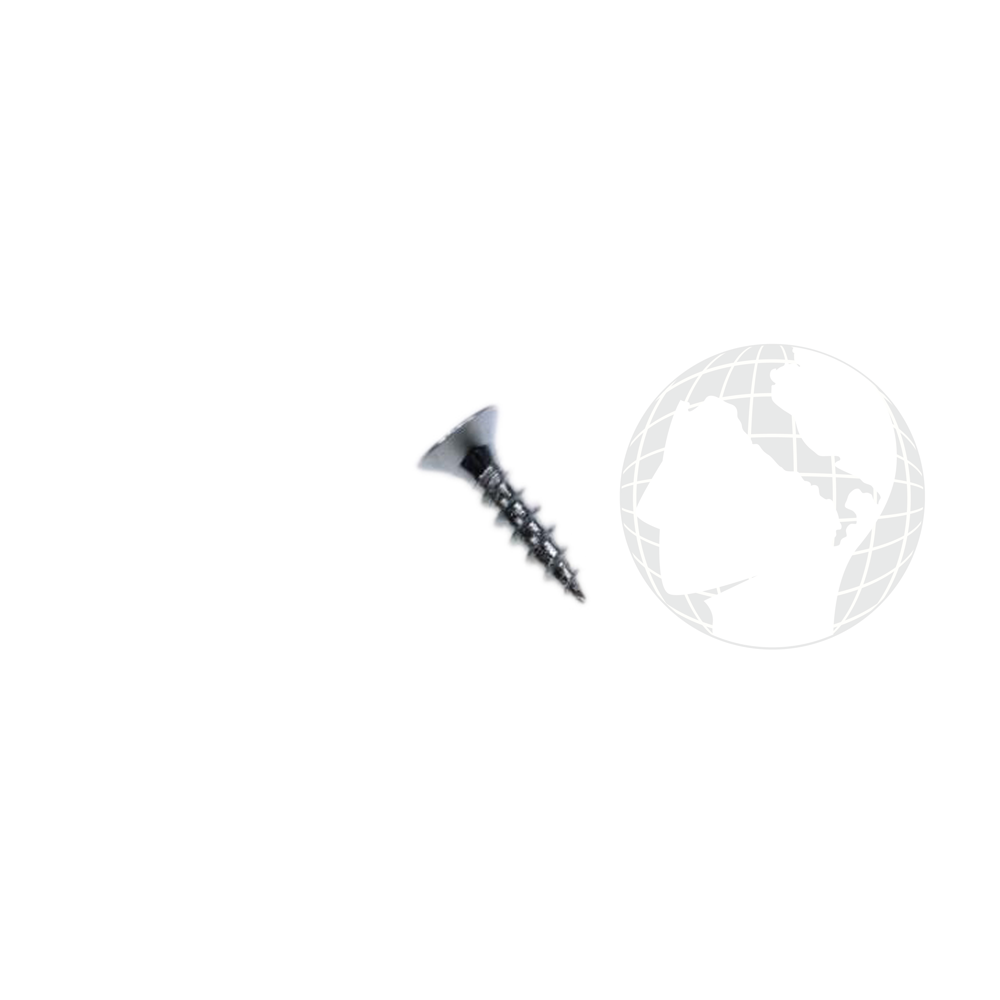 Supporti - Cerniere 2829060100 Vite per elettrodomestico BEKO Originale