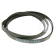 Cinghie: 2466300200 Cinghia (4PJE 1244) BEKO