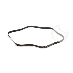 Cinghie 0020300592 Cinghia per elettrodomestico HAIER Originale