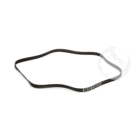 Cinghie 0020300592 Cinghia per elettrodomestico HAIER Originale