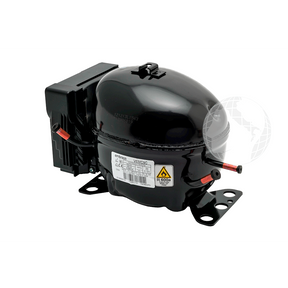 Compressori: 0060703738 Compressore + Scheda Inverter HAIER