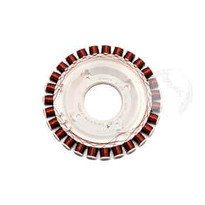 Motori - Elettropompe: 0024000329A Statore HAIER