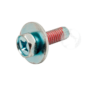 Supporti - Cerniere: 0020600405 Vite Speciale HAIER