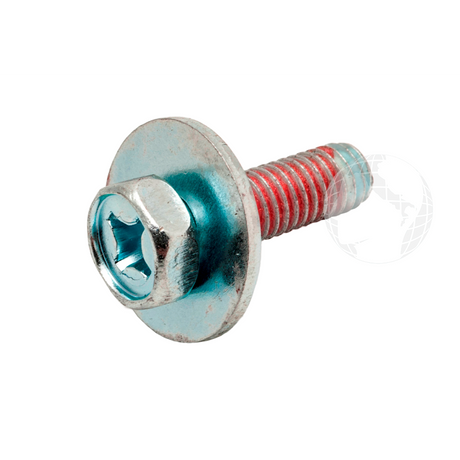 Supporti - Cerniere: 0020600405 Vite Speciale HAIER