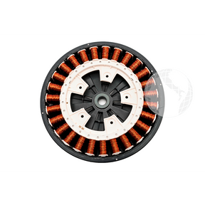 Motori - Elettropompe: 0024000410 Rotore HAIER