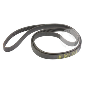 Cinghie: 12638100000244 Cinghia (5EPJ1281) MIDEA