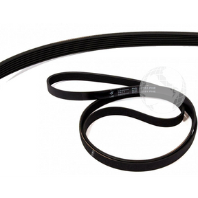 Cinghie USP010910 Cinghia (1151 HT EL) per elettrodomestico USP SELECTION Originale