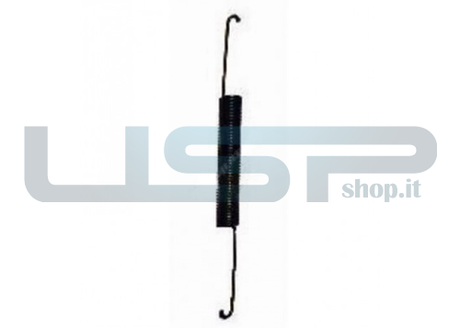 Supporti - Cerniere: 92483809 MOLLA NUOVA CERNIERA CANDY