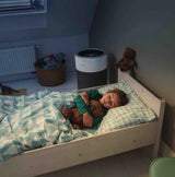 Filtro due in uno CF260 più pre filtro AP260 per purificatore d'aria originale vorwerk 01194 - proricambi.it