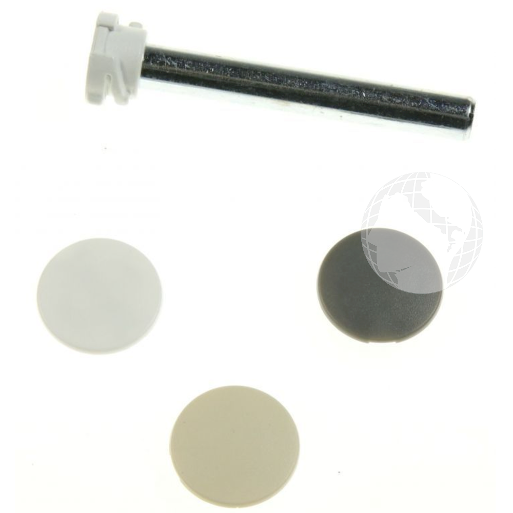 Supporti - Cerniere 909665400 Kit Bullone + Tappo per elettrodomestico LIEBHERR Originale